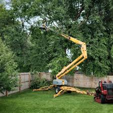 Best Lawn Mowing  in Heflin, AL