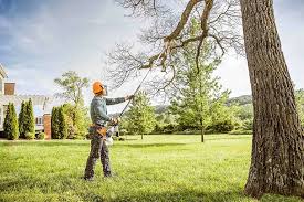 Best Firewood Processing and Delivery  in Heflin, AL